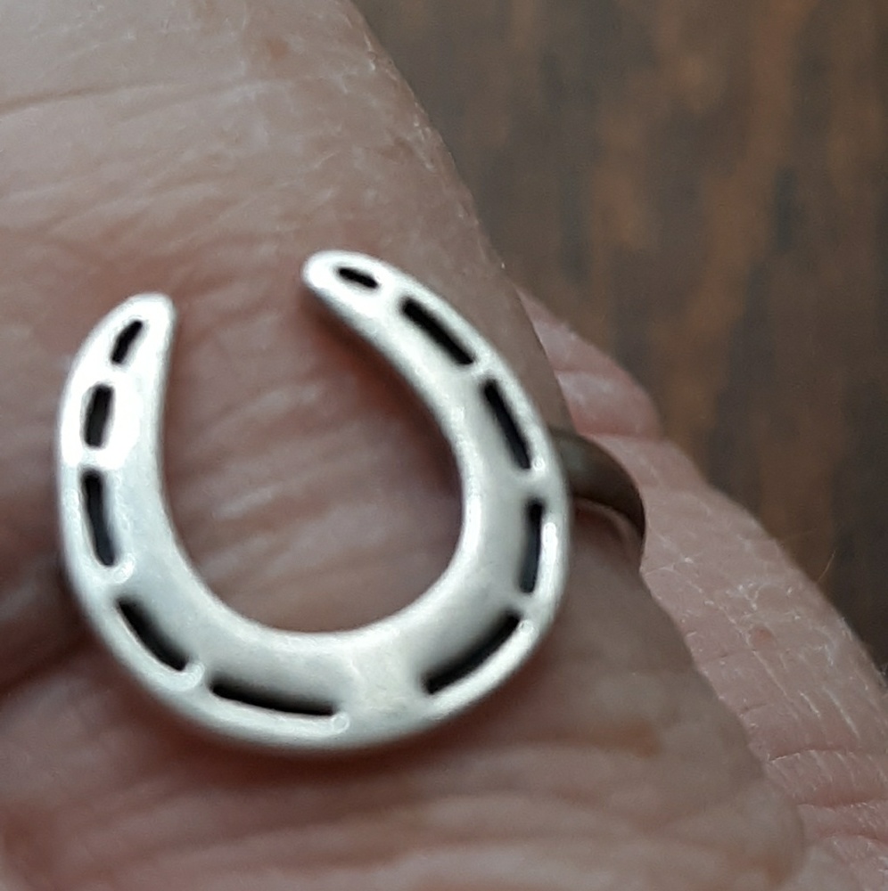 Horse Shoe Ring